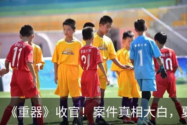 《重器》收官！案件真相大白，夏英杰成烈士，张丽慧痛失两位亲人