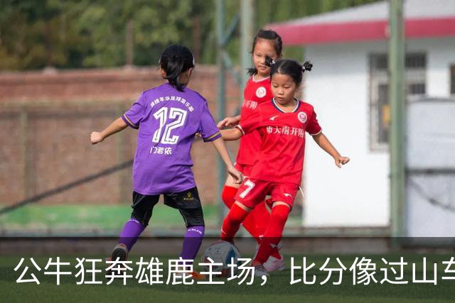 公牛狂奔雄鹿主场，比分像过山车一样刺激！